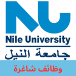 جامعة النيل الأهلية
